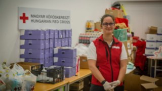 Linde_Voroskereszt_2030 Linde_Voroskereszt_2030